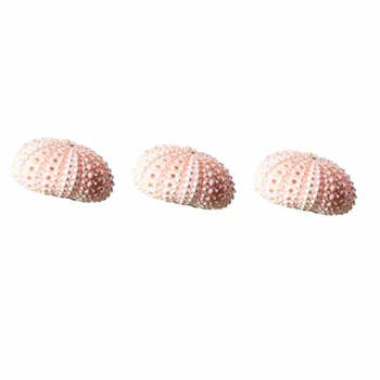 3 шт. маленьких украшений из морских раковин и панцирей морских ежей (исключая растения)